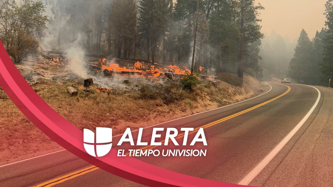 Incendio Caldor se acerca a la cuenca de Lake Tahoe; la autopista 50 permanece cerrada