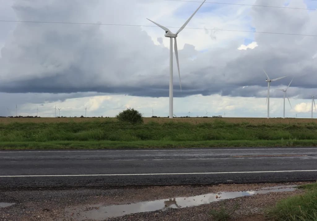Un molino de viento se alza cerca de la frontera de los condados de Starr e Hidalgo. Los campos de molinos de viento y cultivos son características comunes de este valle mayoritariamente rural.