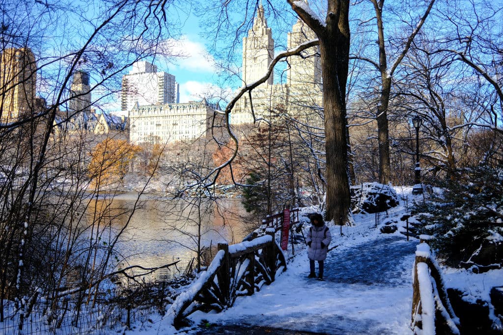 El domingo 22 de diciembre, antes del mediodía, el termómetro marcaba 
<b>18 grados Fahrenheit (-8 Celsius) en Central Park,</b> en pleno corazón de la ciudad de Nueva York. La nieve se mantenía y permitía capturar imágenes preciosas.