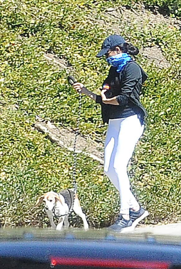 El perro, de raza beagle, pesaba 17 libras cuando estaba condenado al corredor de la muerte en Lexington, Kentucky, pues era parte de lista de los no adoptables. 
<br>