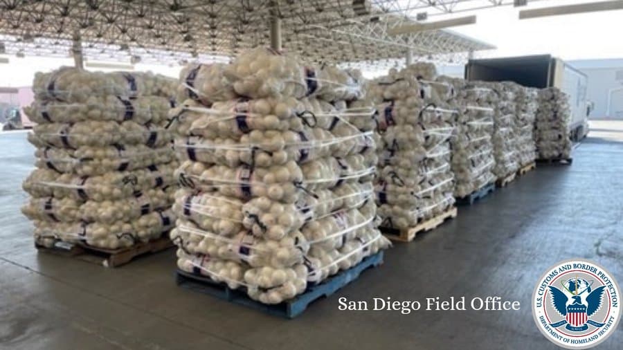 Narco-cebollas de $2.9 millones: el decomiso más reciente en la frontera de California 