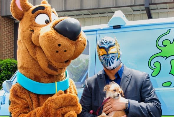 La iniciativa pretende reforzar la importancia y ventajas de la adopción en las personas, llevando la información dentro de su propia comunidad.