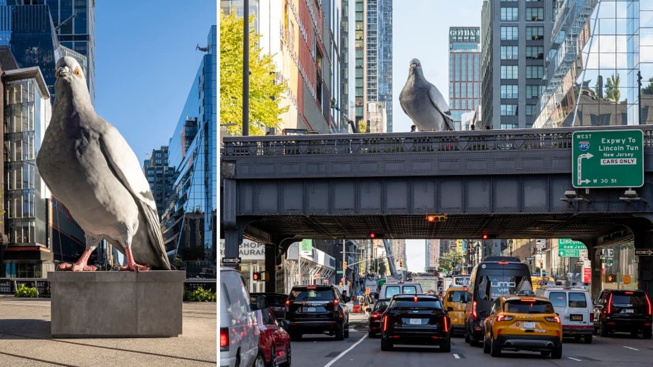 A partir del jueves 17 de octubre, los neoyorquinos pueden visitar
<b> “Dinosaurio” la escultura hiperrealista de una paloma</b> que se exhibe en el High Line de Manhattan.
<br>
