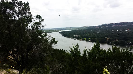 Se espera un día nublado con una temperatura máxima de 61 grados 