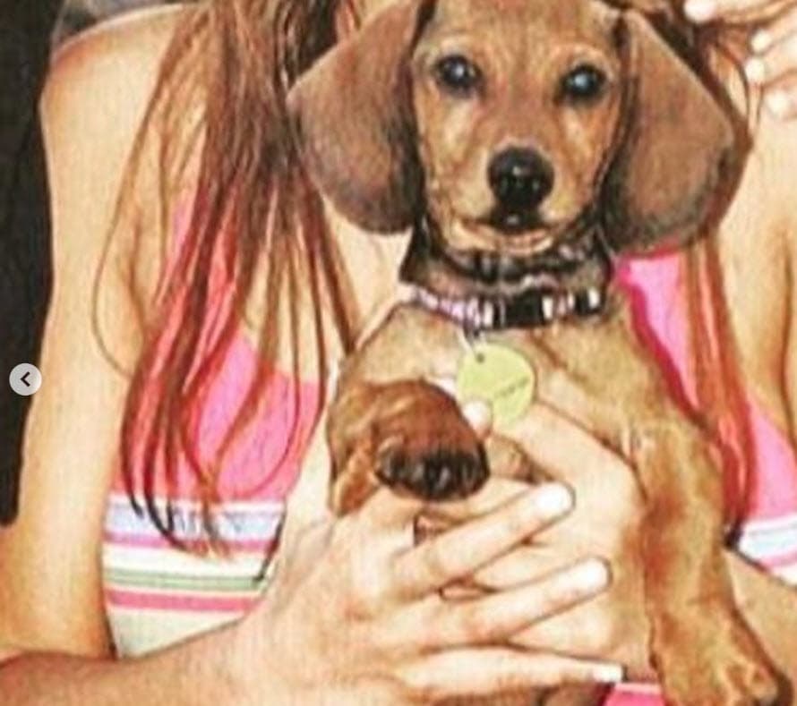 El luto por Pluto ocurre mientras la actriz graba 'La Mexicana y El Güero', en donde hace pareja con
<b> <a href="https://www.univision.com/famosos/juan-soler-tendra-besos-con-itati-cantoral-en-la-mexicana-y-el-guero-el-actor-lo-aclara-fotos" target="_blank">el argentino Juan Soler. </a></b>
<br>