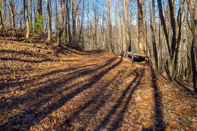 <b>DuPont State Forest</b>. Con una elevación baja, DuPont experimenta un invierno más suave. Explora rutas de senderismo y cascadas como Hooker, Triple y Bridal Veil.
<br>
<br>
<b><a href="https://goo.gl/maps/CvMw5Z7G2w7Benzt7">Cómo llegar</a></b>