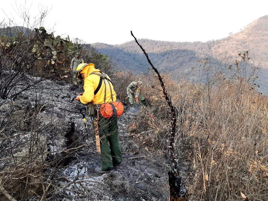 <h3 class="cms-H3-H3"><b>8.- Parque Estatal Sierra de Guadalupe</b></h3>
<br>
<b> Estado de México</b>
<br>
<br>El incendio fue controlado y apagado este miércoles, pero dejó daños en alrededor de 90 hectáreas, en el municipio de Coacalco, según informó el Gobierno del Estado de México quien, a su vez, resaltó que del total 56.7 hectáreas fueron de arbustos, 18.3 de pastizal y 15 de arbolado.