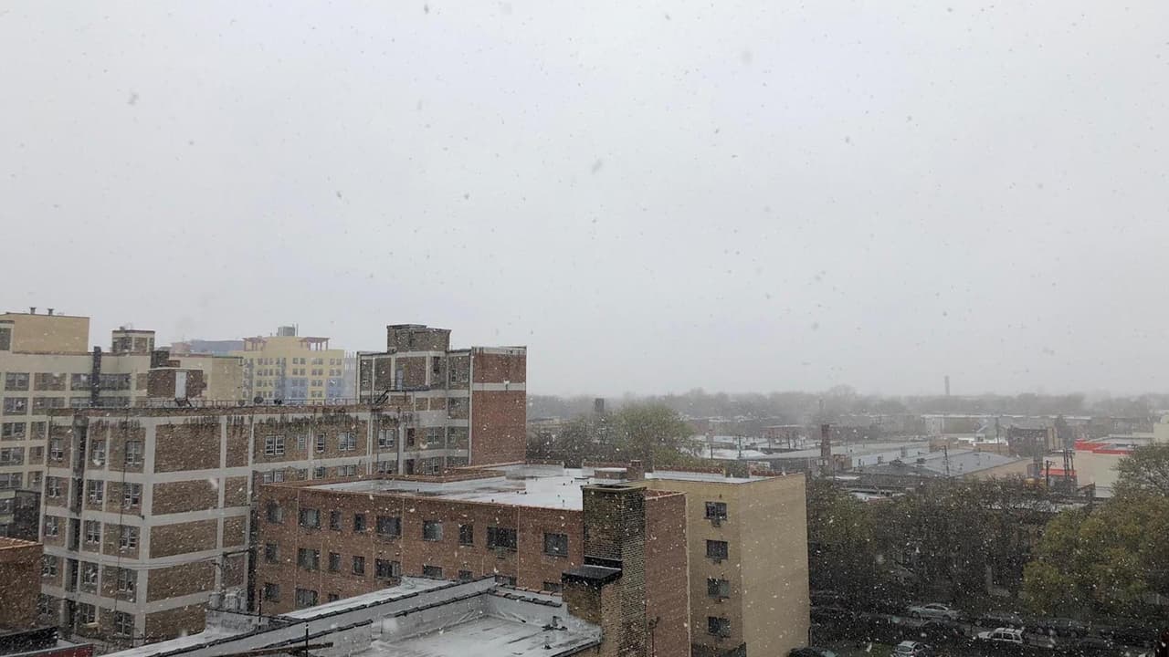 Se puede ver la caída de nieve en el barrio de Edgewater.
