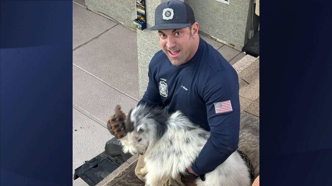 Finalmente los bomberos enviaron un mensaje a los residentes de Glendale: “Recuerde, estamos aquí para usted, sin importar el tamaño, especie o situación”.