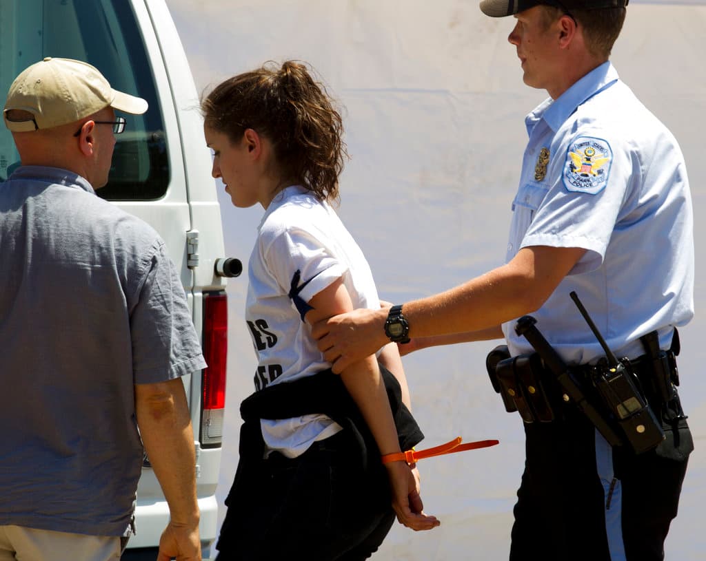 ARCHIVO. Un manifestante es arrestado por un agente de la Policía de Parques de EE. UU. frente a la Casa Blanca en Washington el jueves 1 de junio de 2017.