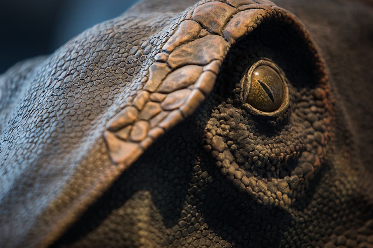 El dinosaurio más grande llega al Museo de Historia Natural de Nueva York