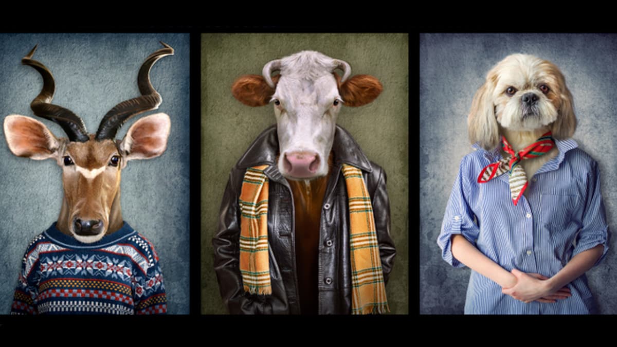 Cada signo del Zodiaco está usualmente relacionado con un animal, pero hay varias facetas de nuestra personalidad con la que podríamos equiparar a una criatura del gran mundo de la fauna. ¿Te identificas con el tuyo?