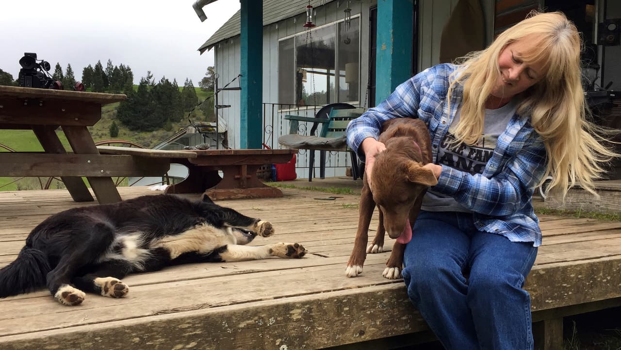 En esta foto Paula Ellis, que desde hace mucho tiempo tiene su casa en Tiller. Pasó su infancia allí montando caballos y ahora dijo a AP que está preocupa por el futuro de su 'pequeña y moribunda ciudad' que una vez fue una pujante productora de madera.