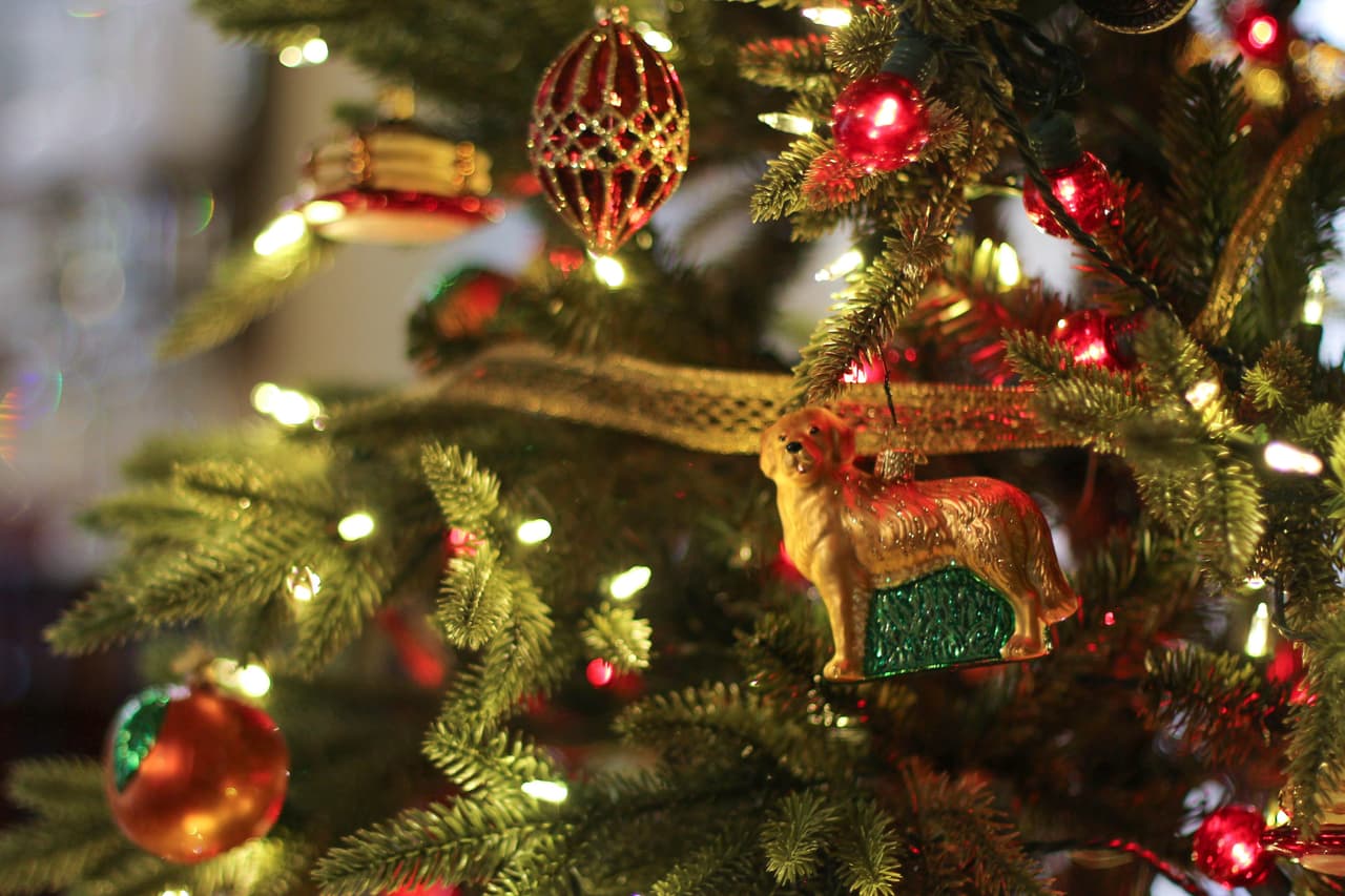Los perros de la familia también forman parte de los adornos del árbol de Navidad. “Como hemos pasado más tiempo en casa este año, nuestros amigos peludos Pancake y Peaches han sido un gran consuelo. ¡Les encanta ser honrados en el árbol de Navidad de la entrada!”, dijo Cecilia Abbott.