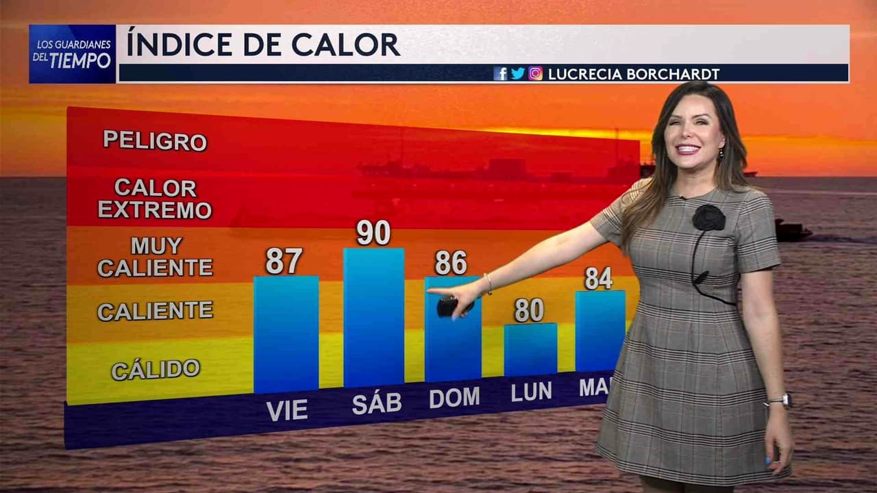 Pronóstico del tiempo hoy en Nueva York: Día despejado y soleado; el termómetro alcanzará 87 °F