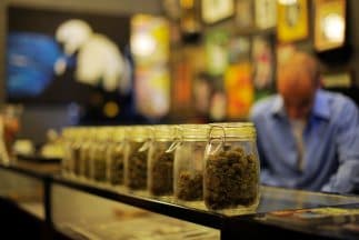 Nueva York oficializa el uso medicinal de la marihuana