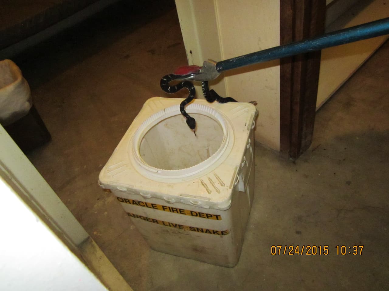 Hombre usa cascabel para intentar matar a otro