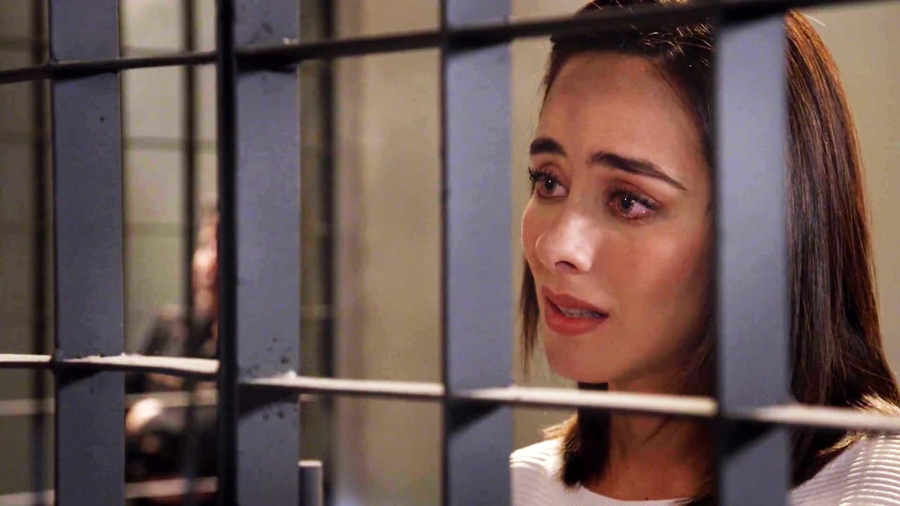 Las diferencias entre Hortensia y Ramón lo llevaron a la cárcel, entonces Fabiola le prometió no alejarse de él hasta que se comprobara su inocencia.