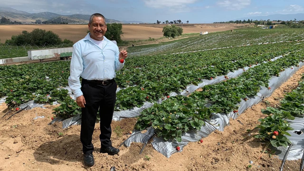Adolfo González pasó 18 años trabajando como jornalero en los campos de cultivo de Salinas, California.