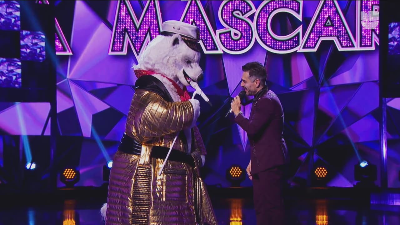 El Oso Polar llegó decidido a contar muchos chistes a los ‘investigadores’ y hacer reír al público con sus ocurrencias. El panel señaló que el actor Rubén Cerda, Ricardo Arjona, Yahir o Erik Rubín, podrían estar detrás de este simpático personaje.