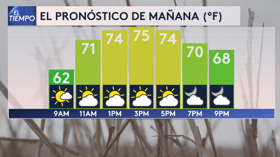 Aunque el día contará con una temperatura agradable con una 
<b>máxima de 75 °F,</b> a las 9 de la noche bajará a 
<b>68 grados.</b>