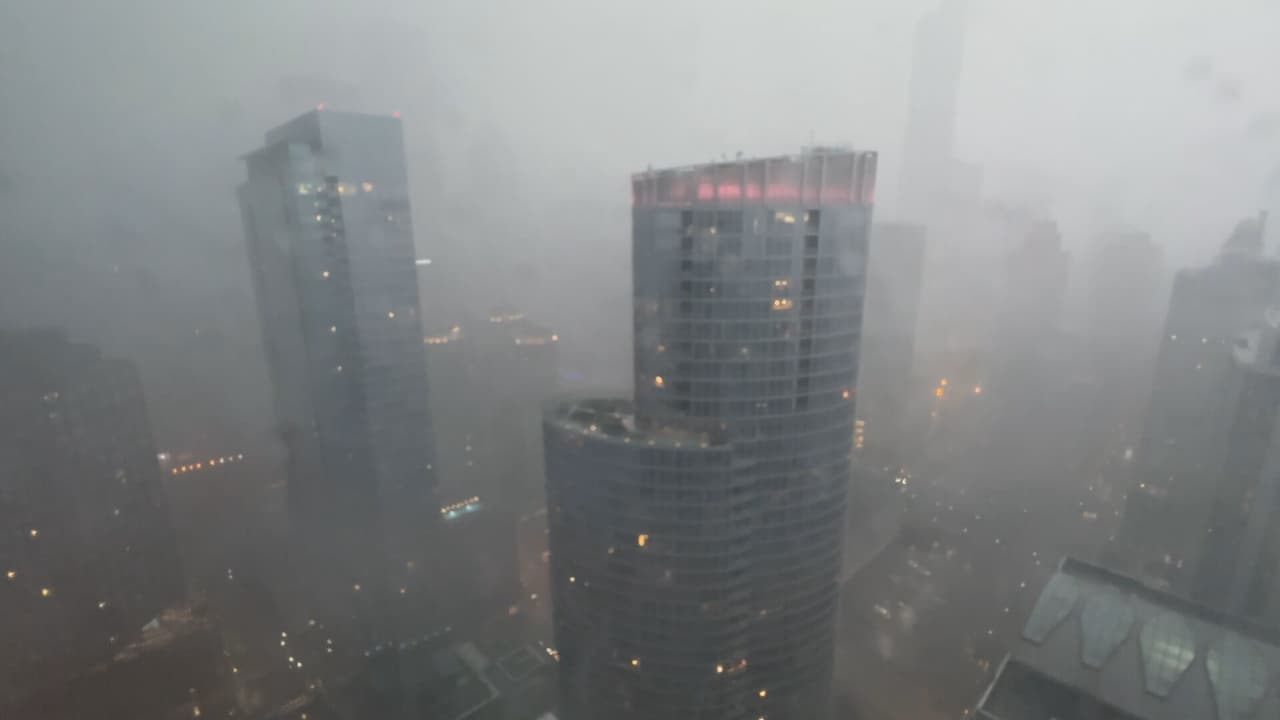 Árboles caídos y miles sin electricidad tras el paso de una ronda de tormentas severas por Chicago 