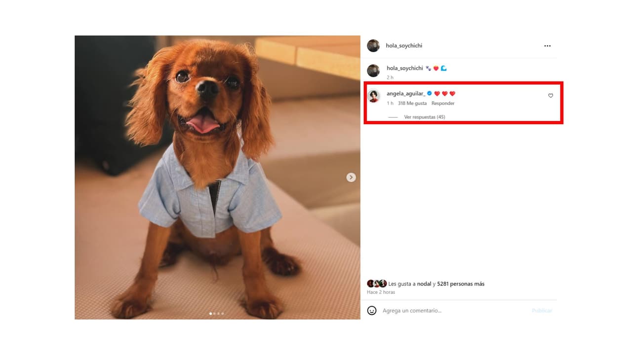 Chichí es el perrhijo de Christian Nodal y Ángela Aguilar.