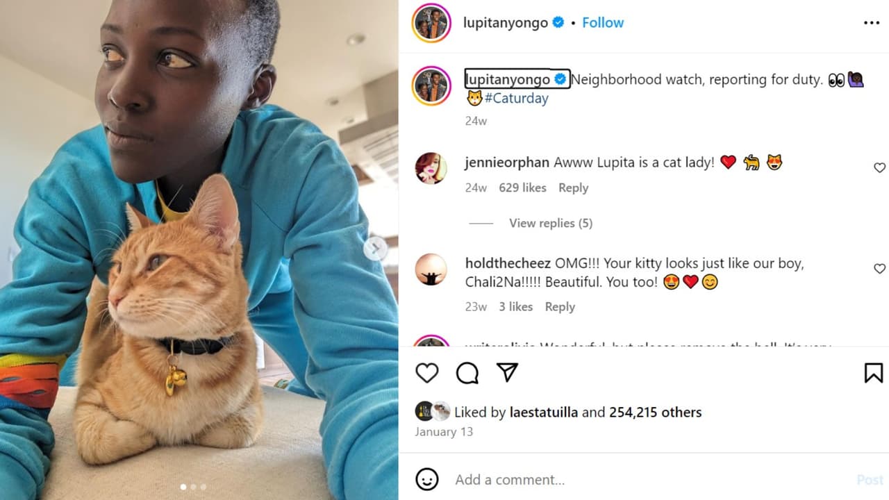 Lupita Nyong'o y su gato YoYo.