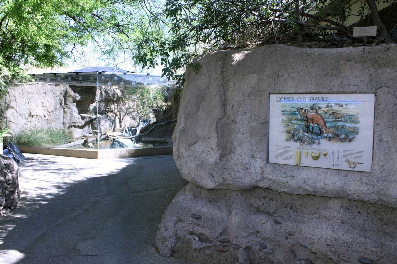 El Museo del Desierto Arizona - Sonora