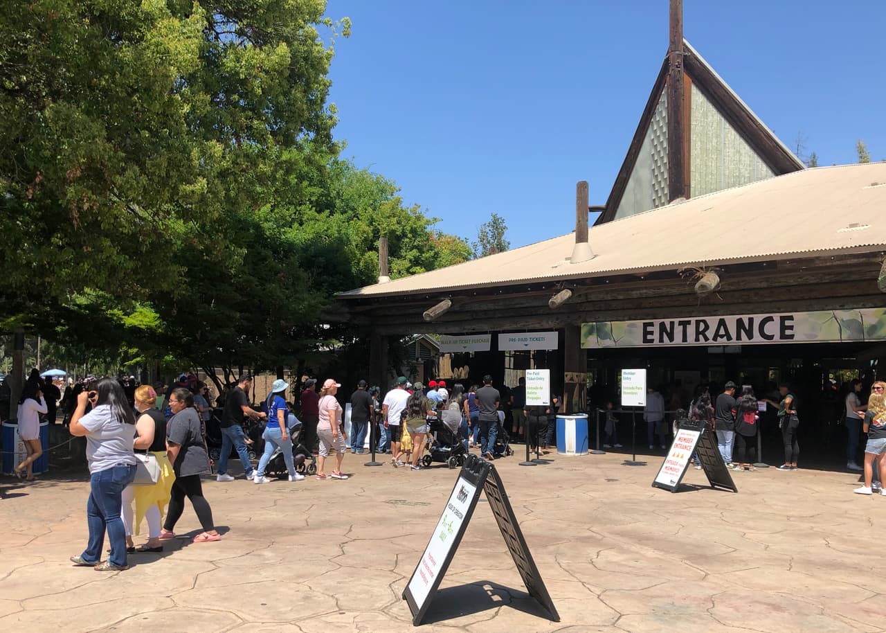 El día más divertido del año llegó al Zoológico de Chaffee, el pasado domingo, en donde los más pequeños del hogar visitaron a sus mejores amigos, los animalitos.