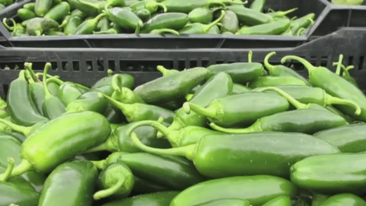 ¿Por qué hay diferentes alimentos ligados hoy a brotes de salud en EEUU?