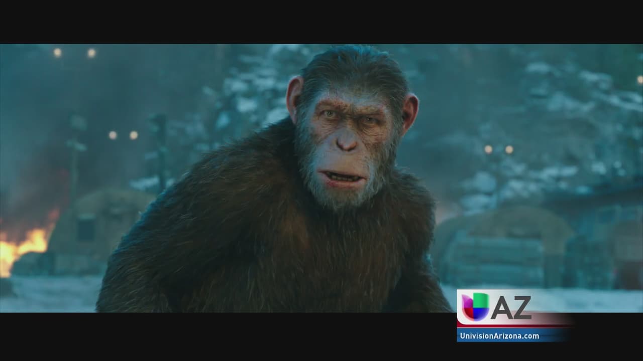 Drama, terror y ciencia ficción para ver en el cine este fin de semana