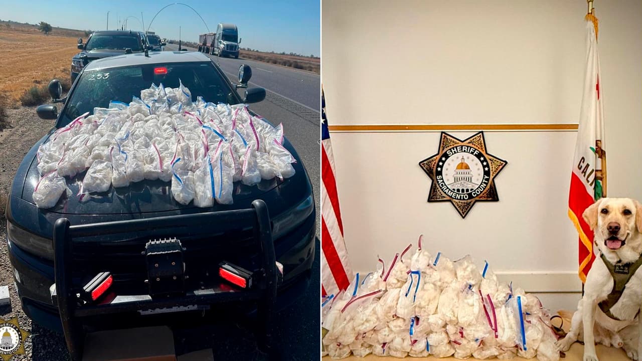 Parada de tránsito lleva al aseguramiento de narcóticos y dinero en efectivo en Sacramento; hay dos detenidos