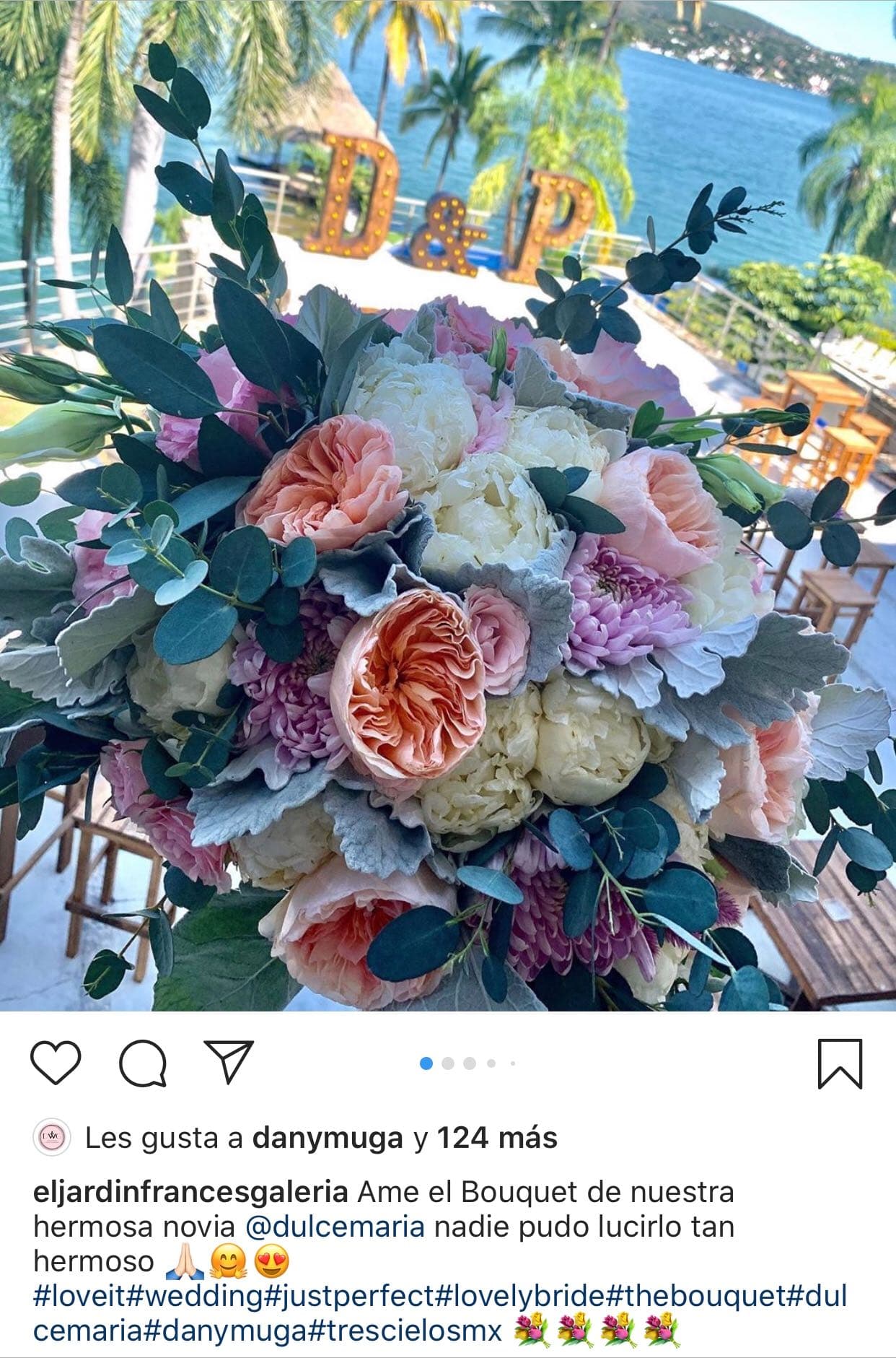 En algunas de las fotos se pueden apreciar los centros de mesa y las iniciales de los novios "D & P".