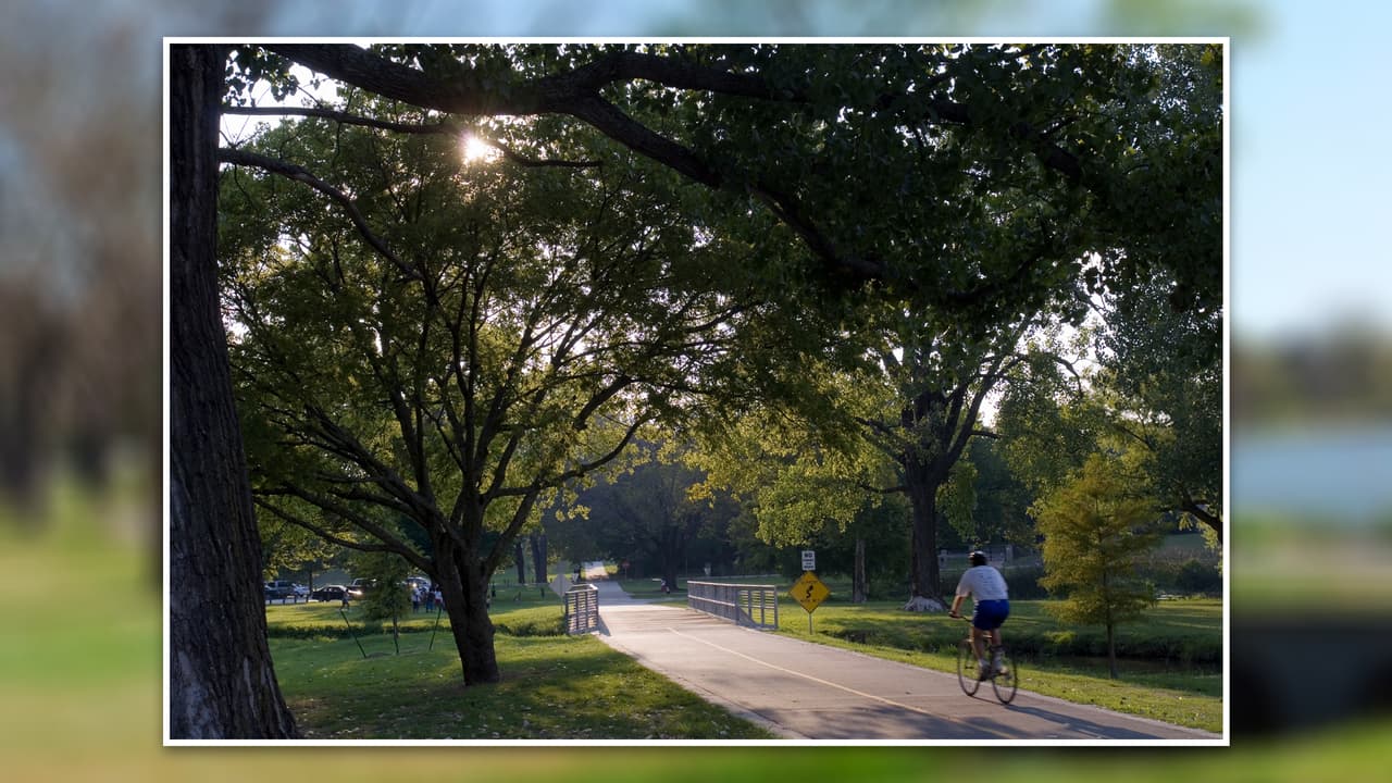 <b>White Rock Lake Park: </b>Un parque para personas de todas las edades, 
<b>con espacios abiertos para que los más pequeños puedan jugar y correr al aire</b> libre. Cuenta con áreas para mascotas y vías para ciclistas. 
<b>Puedes hacer un pícnic en familia</b>. 
<br>💰 
<b>¡Gratis! </b>
<br>📆 Abierto todos los días, desde las 6 de la mañana, hasta las 11 de la noche.
<br>📍 8300 E Lawther Dr.