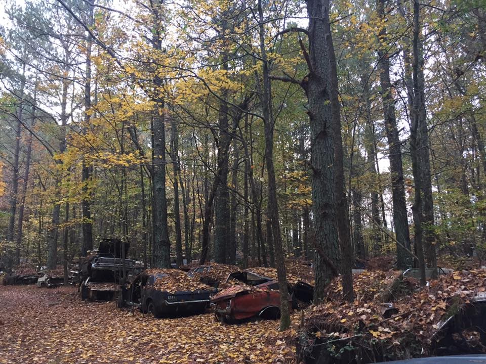 Con más de 34 acres de tierra y más de 4,000 autos fabricados en Estados Unidos de principios del siglo XX, estos autos, camiones, camionetas e incluso un par de autobuses escolares están colocados de tal manera que son ideales para fotos, videos y sesiones de cámara personalizadas.