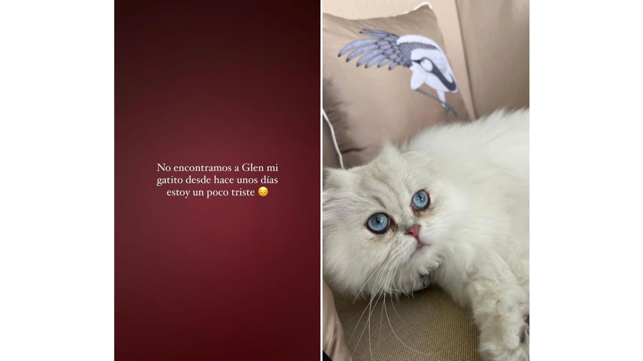 Así reportó la desaparición de 'Glen'.