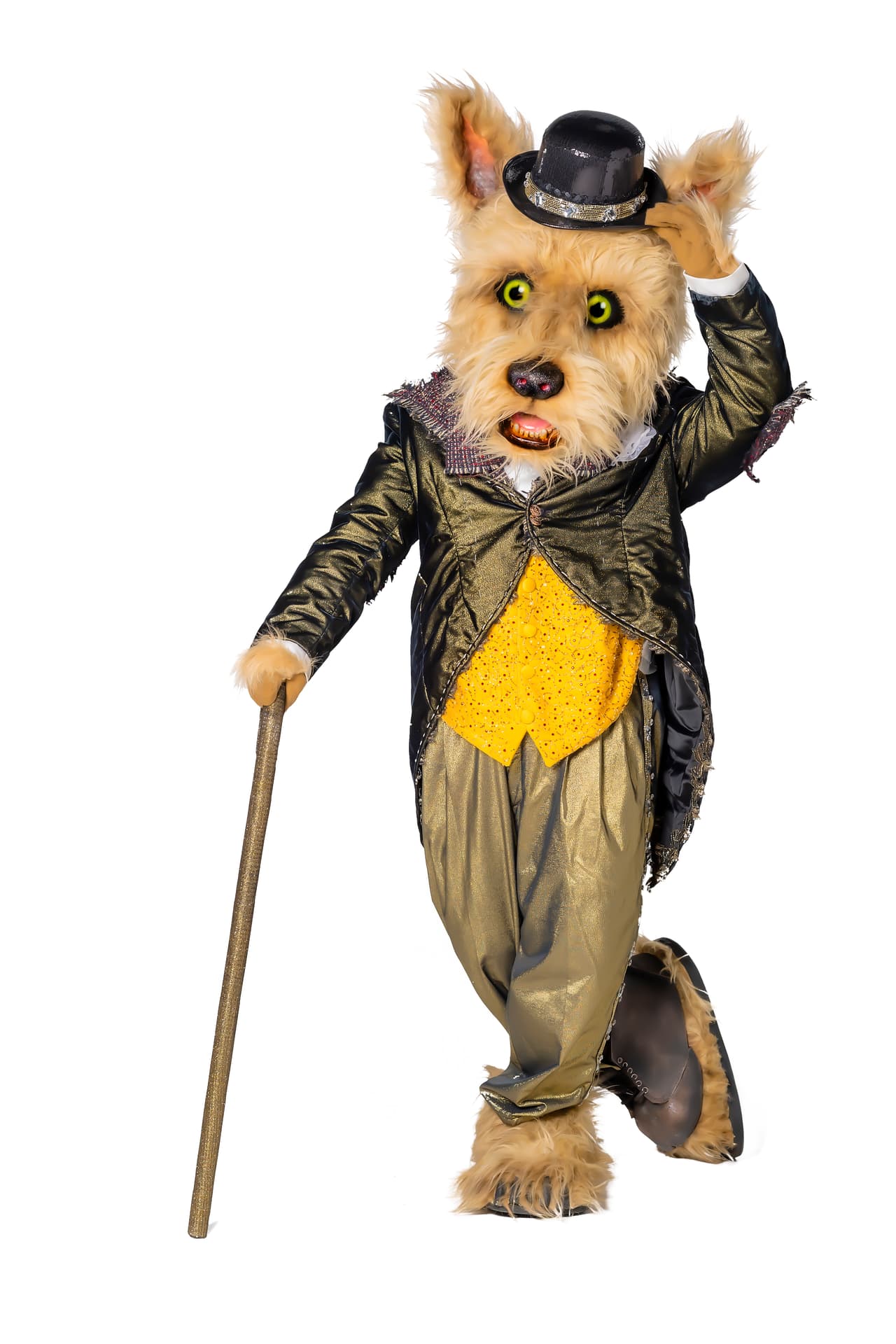 <b>Perro</b>. Tiene su origen en la calle y por eso tiene mucha experiencia. Su dulce carita puede hacerte pensar lo contrario.