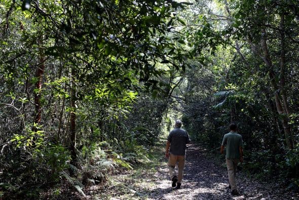 Como por ejemplo, el Parque Nacional Everglades.