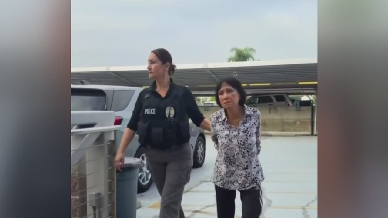 Arrestan a la conductora sospechosa de atropellar hasta la muerte a un perrito en Santa Ana