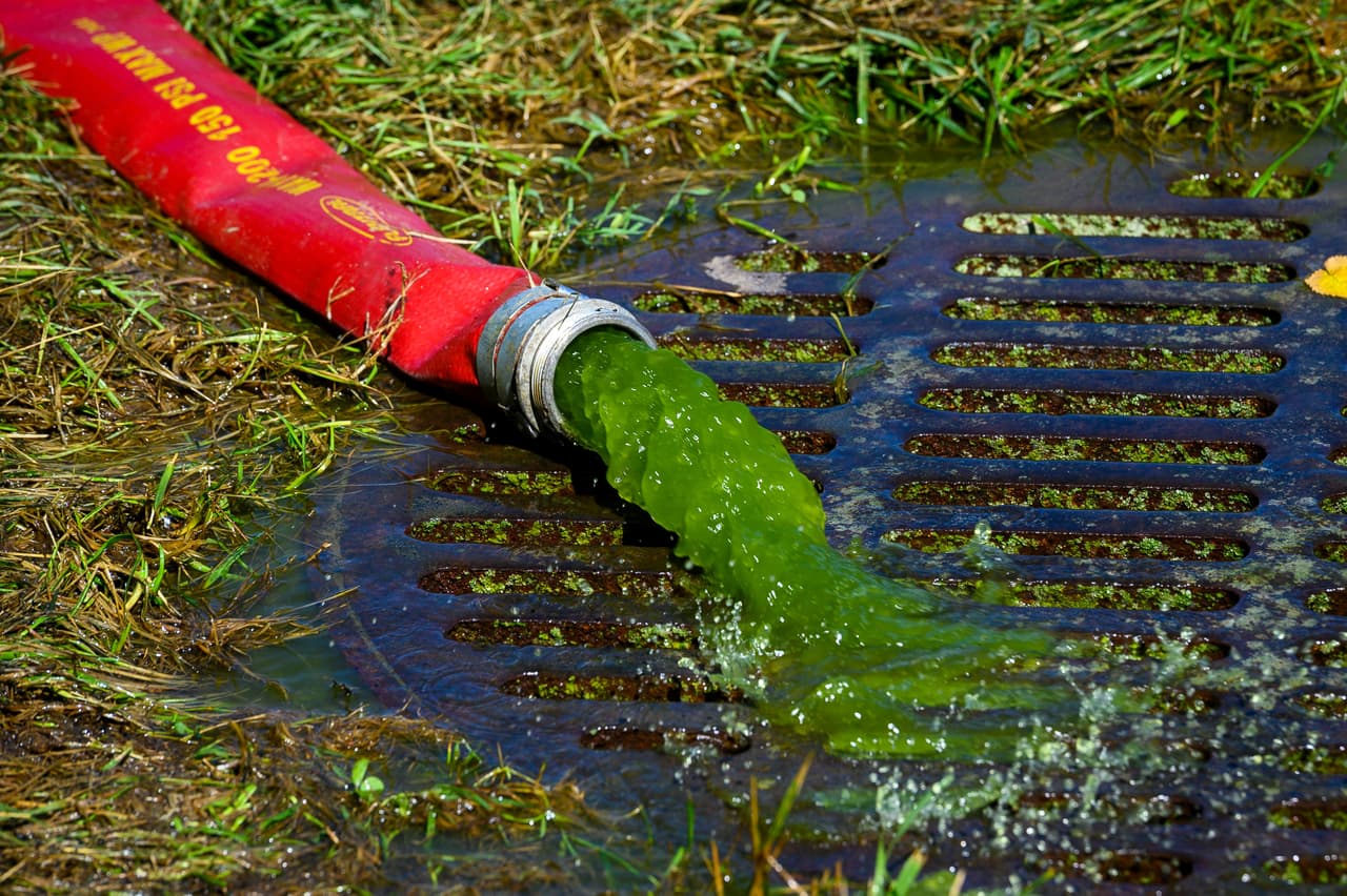 Mientras tanto, otra manguera expulsa el agua contaminada con algas.