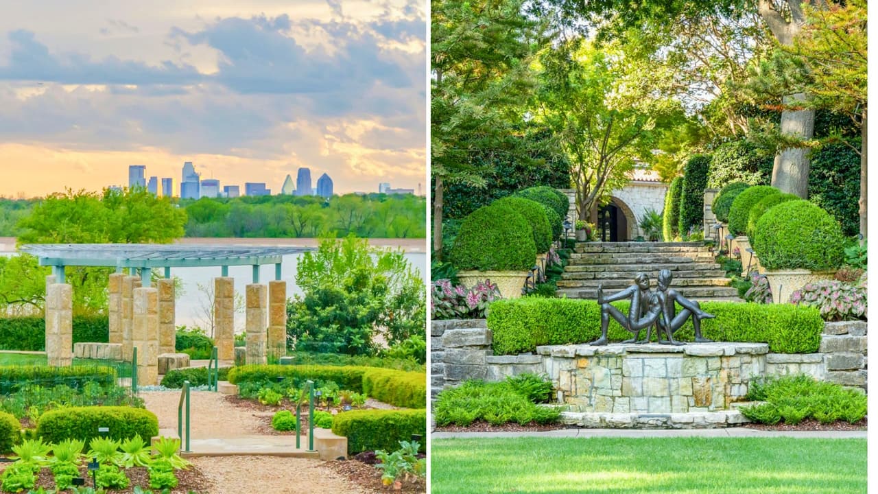 El Arboreto y Jardín Botánico de Dallas es 
<b>un hermoso lugar donde puedes conectar de cerca con la naturaleza. </b>Situado a solo unos minutos del centro de la ciudad, a orillas del lago White Rock, este oasis 
<b>abarca 66 hectáreas y cuenta con 11 jardines principales</b>. Cada uno ofrece una experiencia mágica, jugando con los colores de cada temporada del año. 
<b>¡Ven y déjate sorprender por la belleza natural que te rodea!</b> 
<a href="https://www.dallasarboretum.org/" target="_blank">Haz clic para conocer toda la información sobre entradas y horarios. </a>