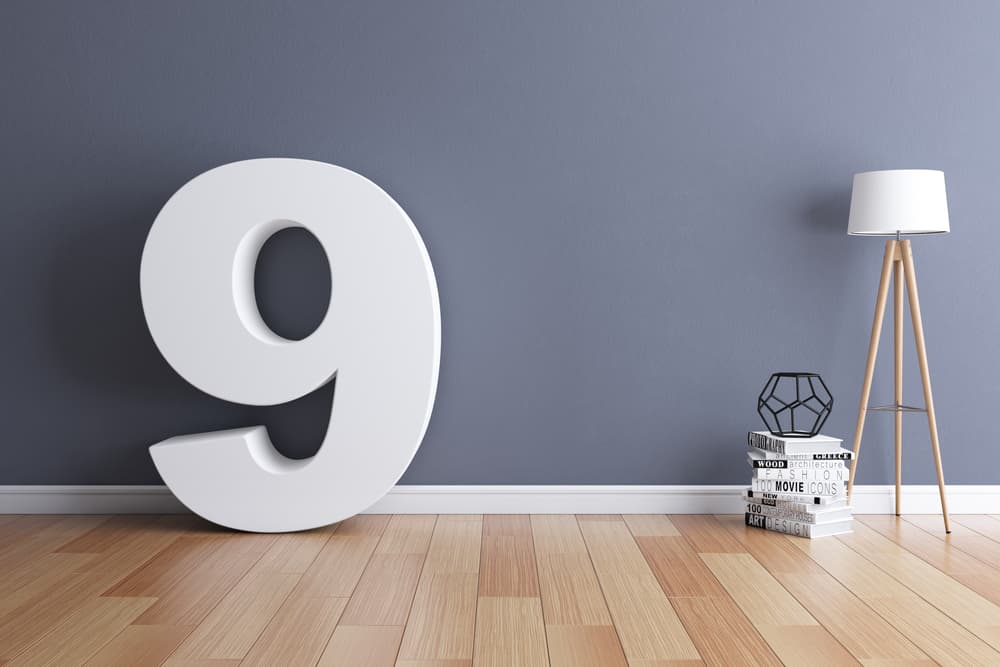 Si eres un 
<b>NUEVE</b> debes vigilar tu bolsillo porque la tendencia es a gastar y comprar. Si recibiste algún crédito nuevo no corras enseguida a comprar cosas que no necesitas.