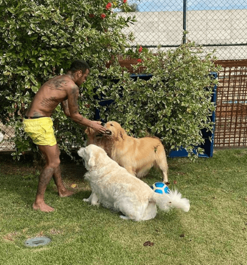 Ahora ya son tres canes los que integran su familia.