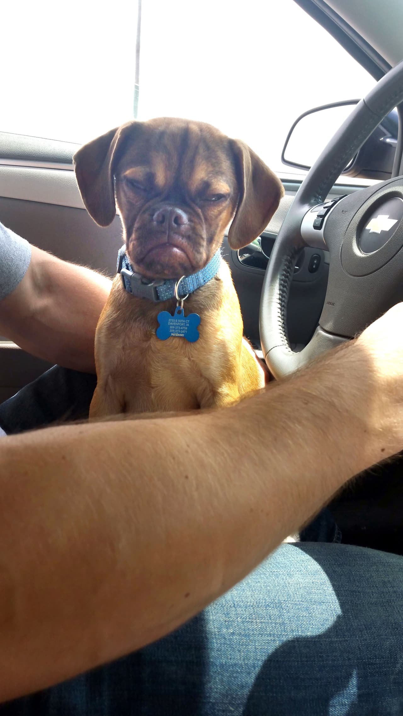 ¿A poco no es súper tierno?