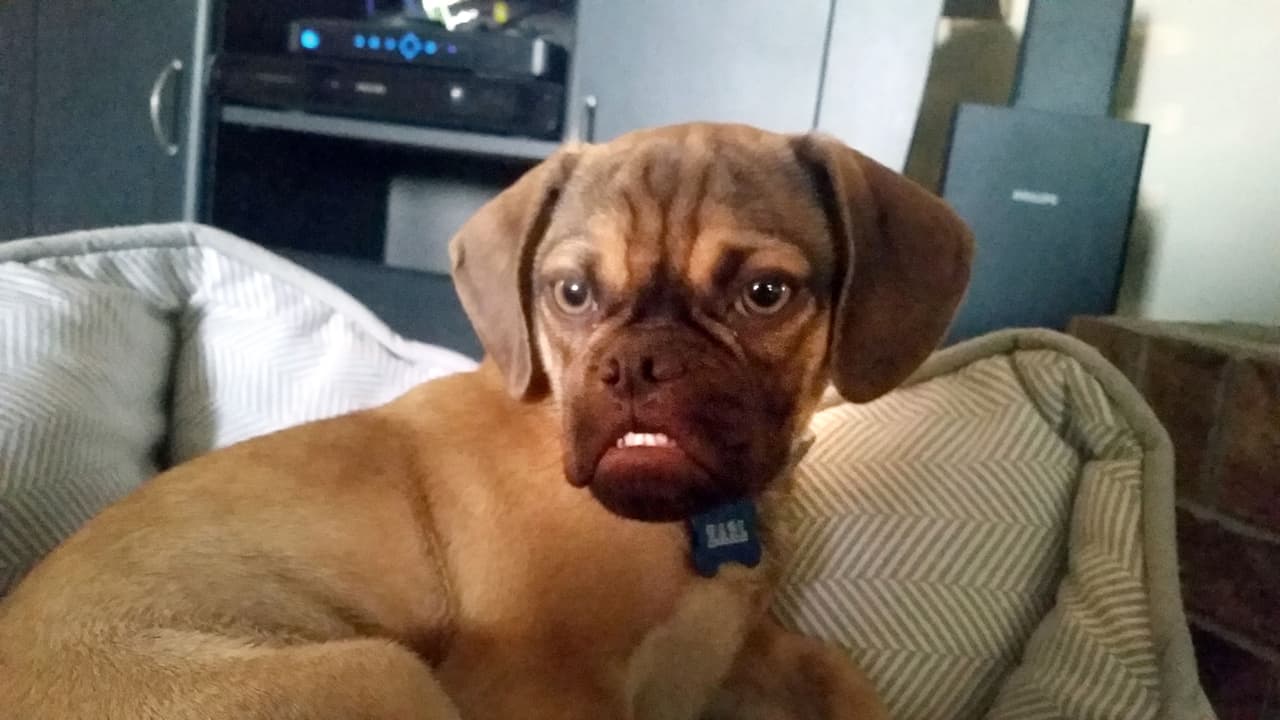 ¿Te imaginas como sería si en realidad estuviera enojado?