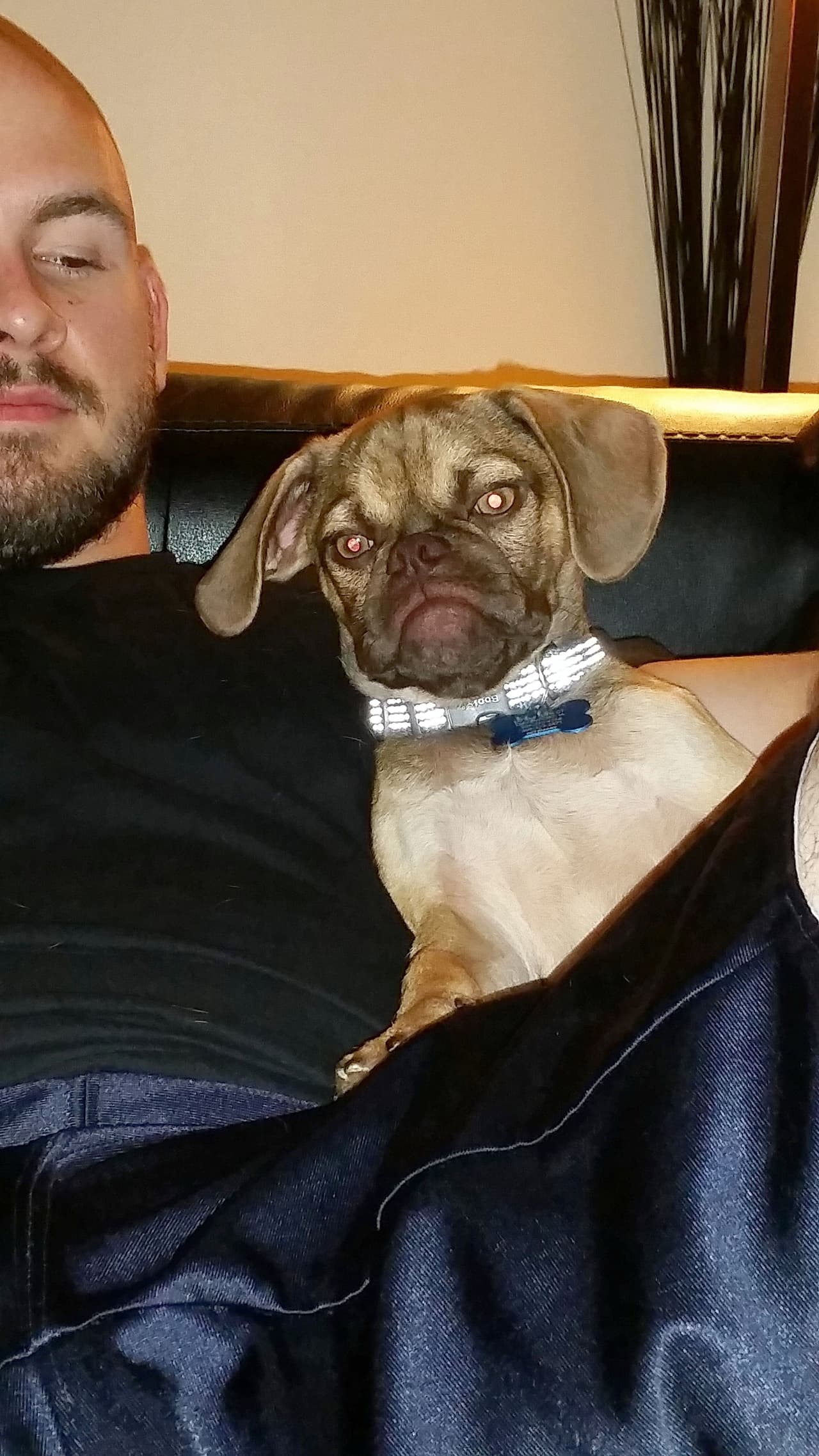 Earl tiene solo cinco meses de edad.