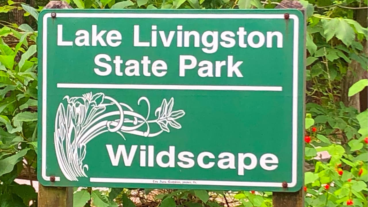 El lago del parque Livingston es conocido por ser uno de los más grandes de Texas.