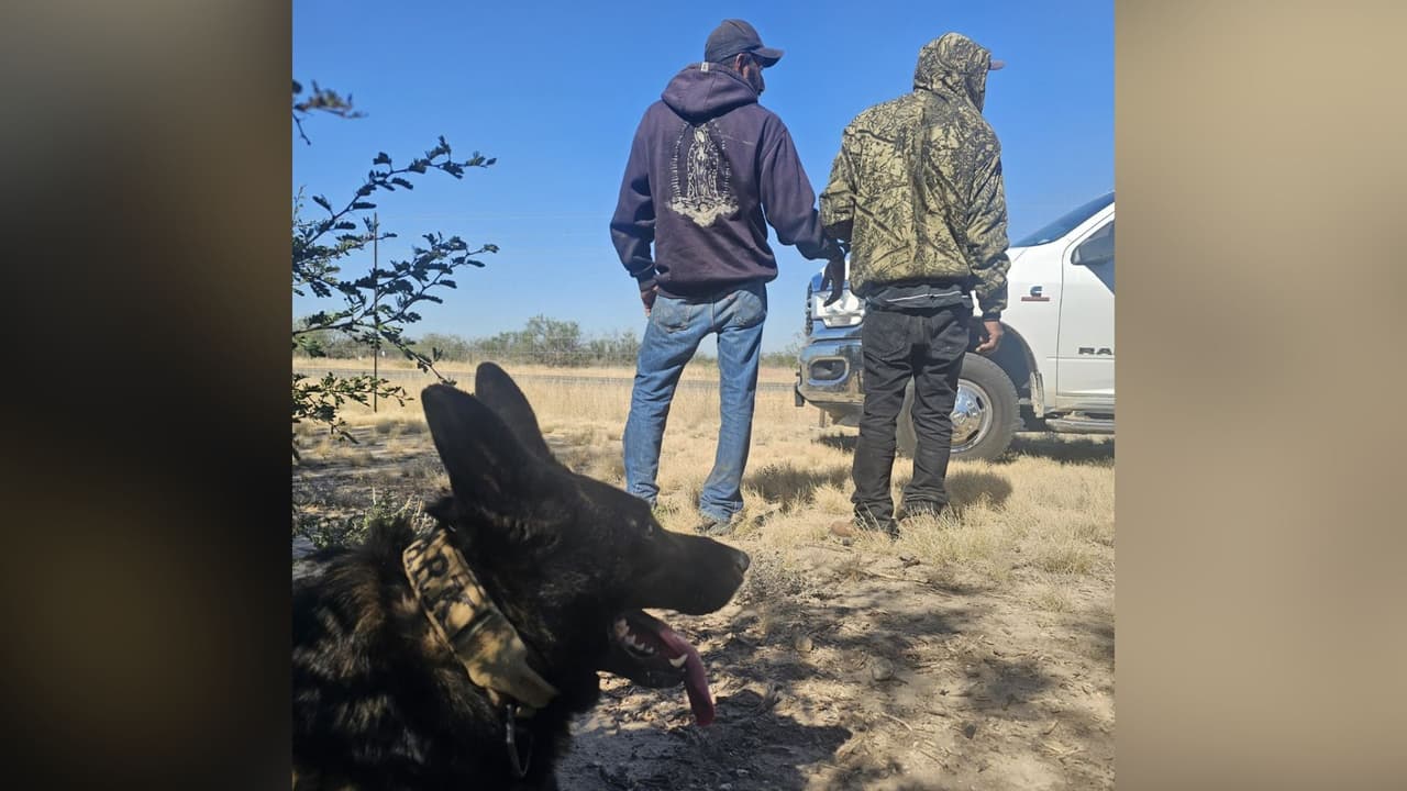 Patrulla fronteriza asegura a grupo de migrantes en Maverick con ayuda de perros y caballos