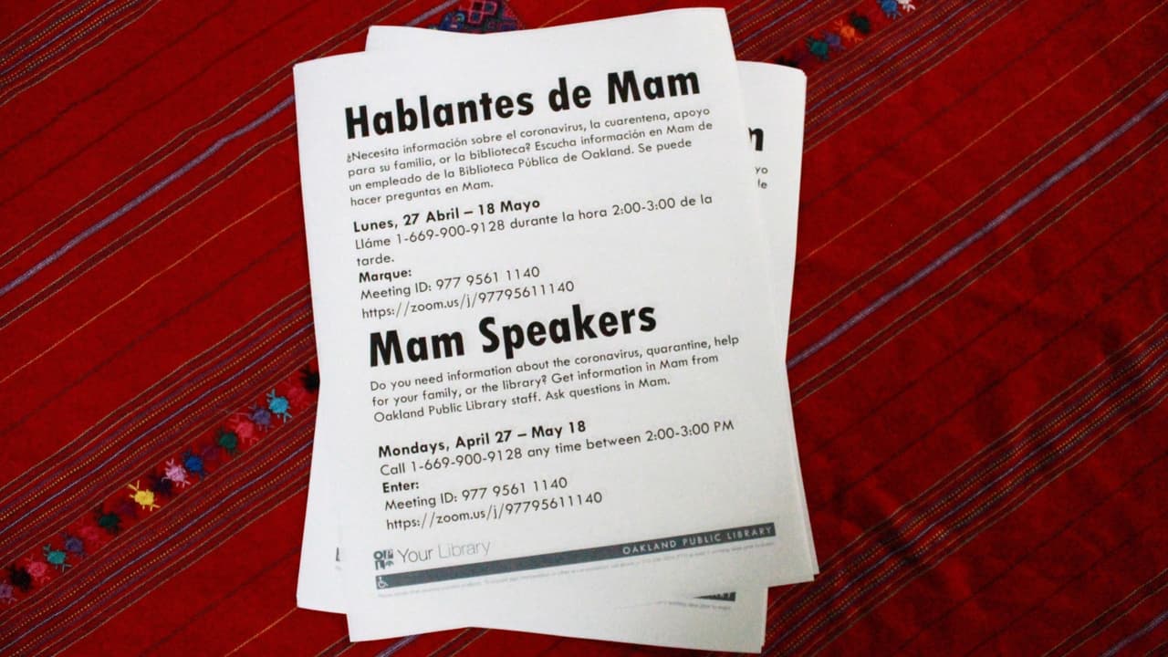 Si necesita más información sobre el coronavirus, la cuarentena, o apoyo para su familia en el idioma Mam puede llamar al
<b>1 (669) 900-9128</b> durante las 2:00 y 3:00 pm todos los lunes entre el 27 abril y el 18 de mayo.